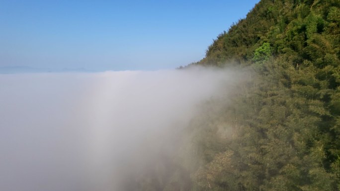 蜀山竹海 云层中航拍竹林竹海云雾太阳光晕