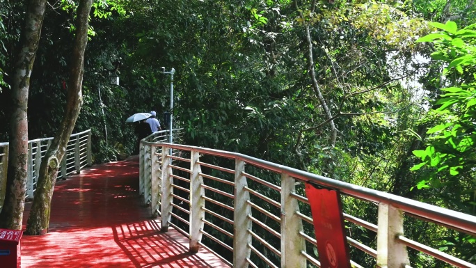 凤凰岭海誓山盟景区缆车特写