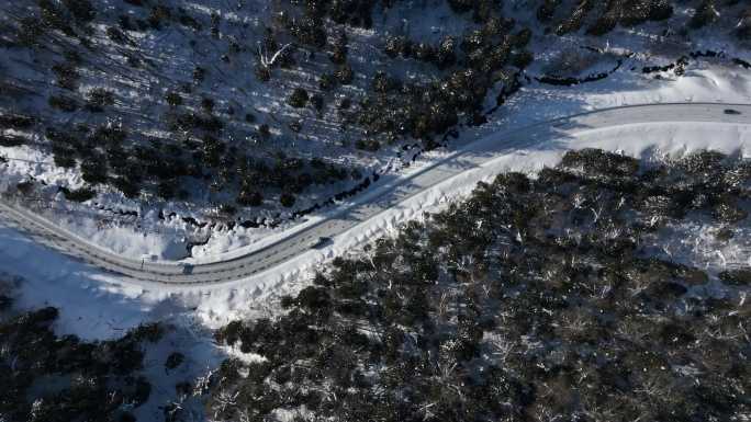 吉林长白山森林公路自驾游旅行航拍风光