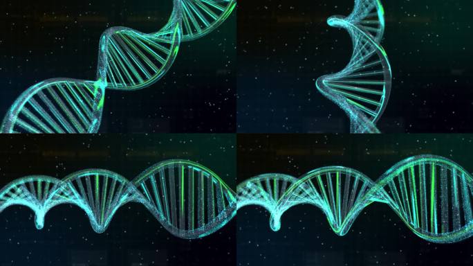 DNA链基因结构