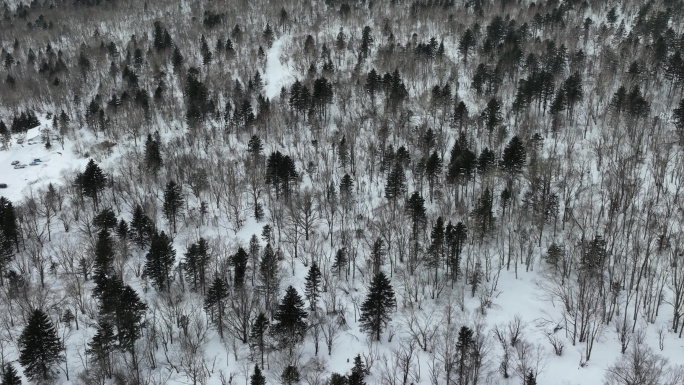 吉林长白山雪岭森林冬季自然风光航拍