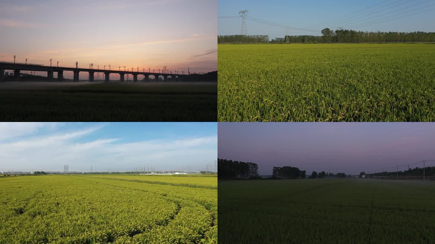 新农村 中国南方农业 乡村振兴 耕地红线
