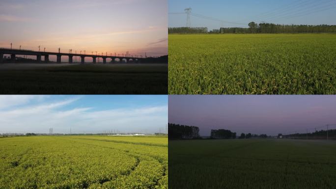 新农村 中国南方农业 乡村振兴 耕地红线