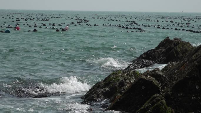 升格拍摄大海海水海面海浪礁石大浪浪涛