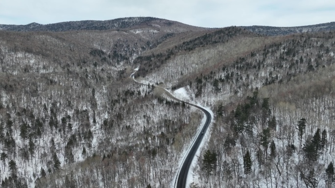 吉林延边长白山雪原森林公路航拍风光