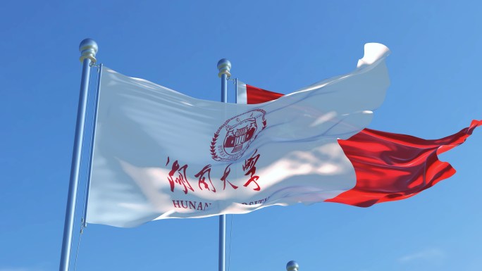 湖南大学旗帜