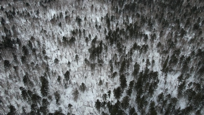 吉林长白山雪岭森林冬季自然风光航拍