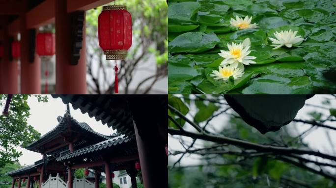 下雨江南烟雨中式建筑屋檐下雨雨滴中式园林