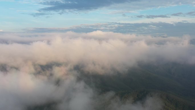热带雨林云海奇观云端美景原始森林国家公园