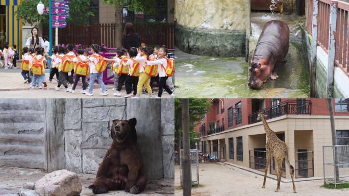 小学生逛动物园（4K50帧）