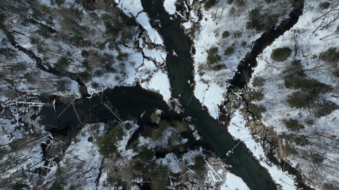 吉林长白山二道白河溪流水源地自然风光