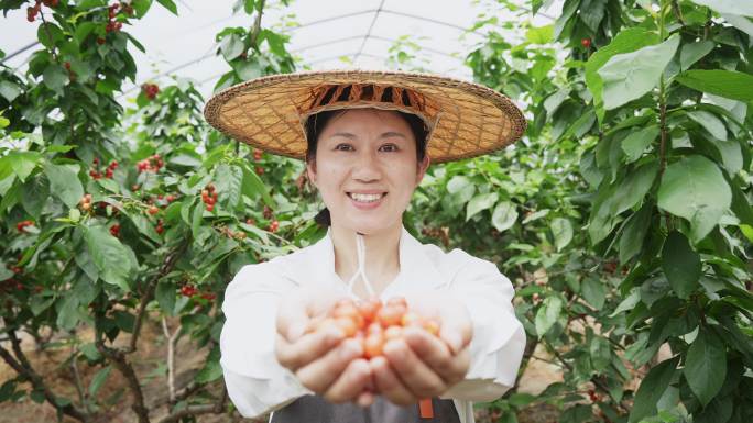 中年妇女在采摘樱桃手捧樱桃对着镜头微笑