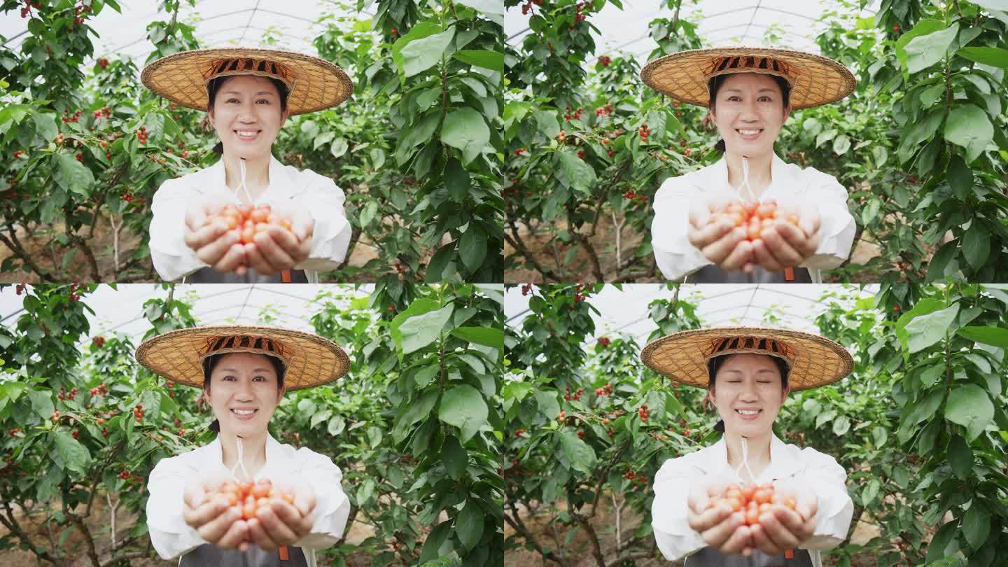 中年妇女在采摘樱桃手捧樱桃对着镜头微笑