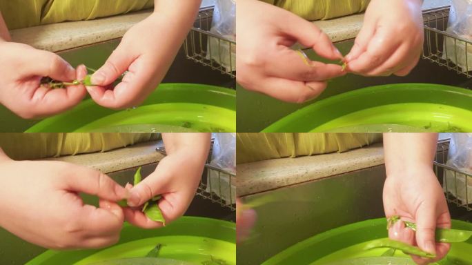 处理食材洗荷兰豆 (1)