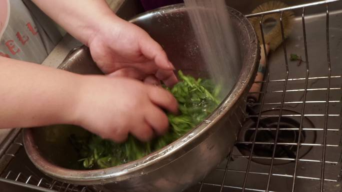 处理婆婆丁野菜清洗 (2)