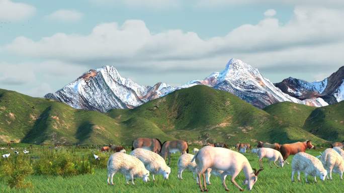 天山和牛羊