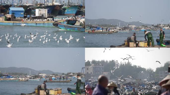 海鲜开海 渔港码头渔民渔船 海鲜东山岛