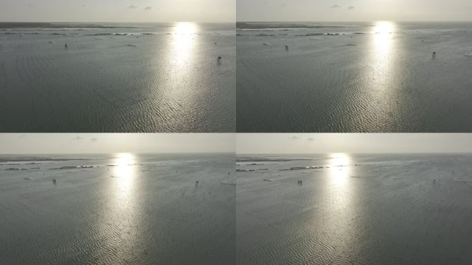 夕阳下的海上养殖场4K航拍
