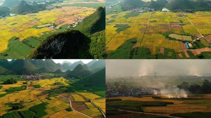 广西 风景 乡村 农业 农田