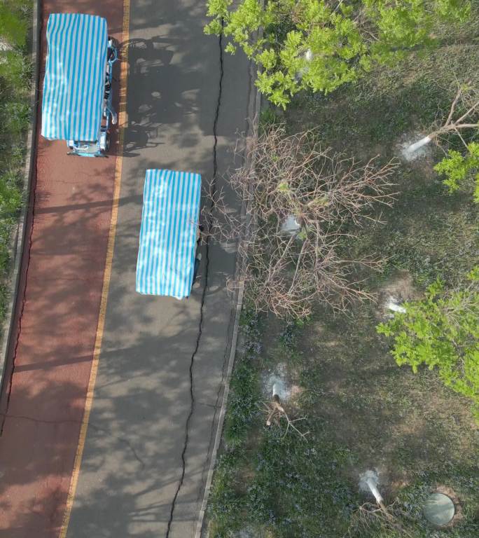天津东丽湖公园风光自行车竖屏俯拍4K
