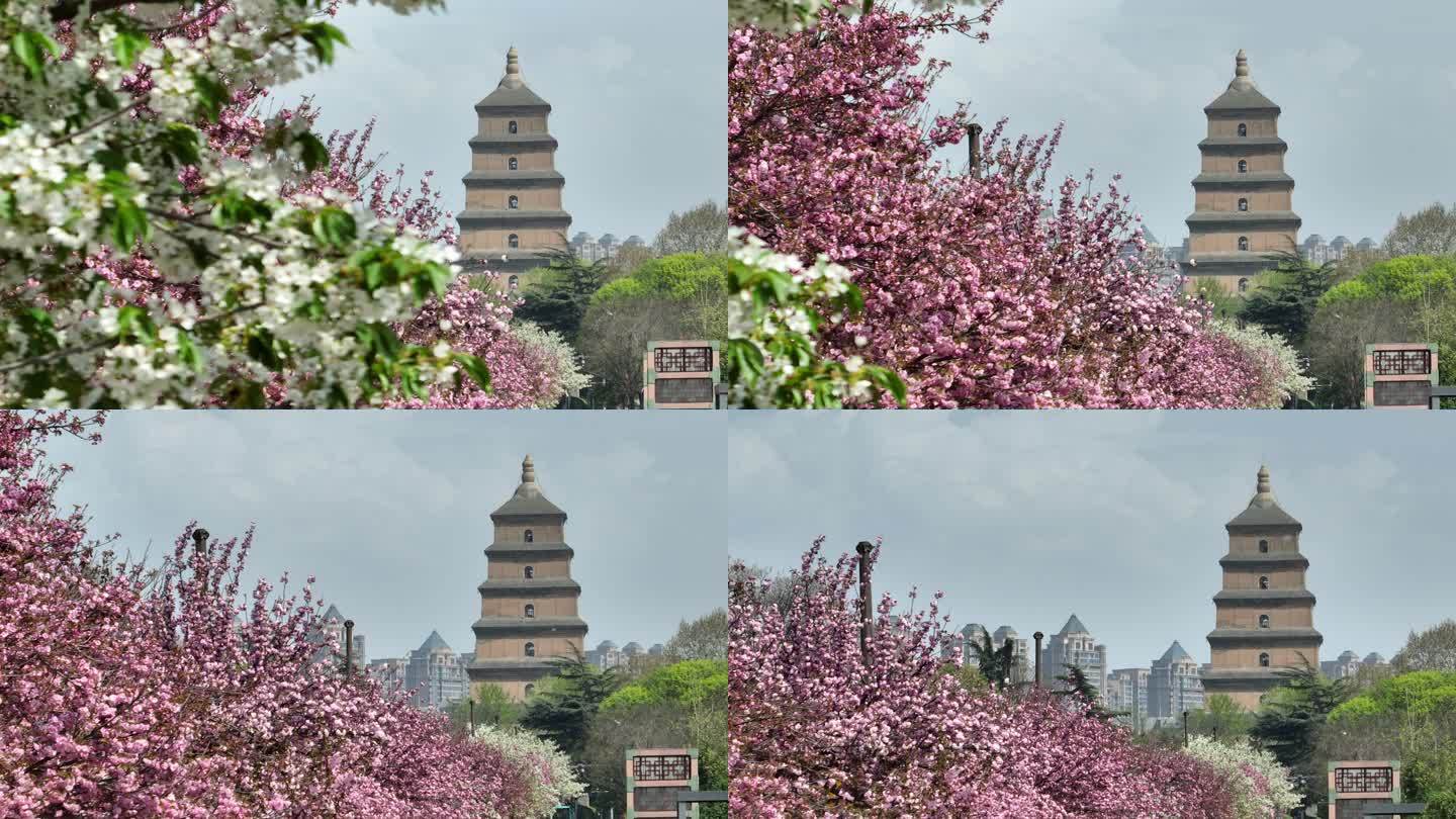 繁花似锦胜长安