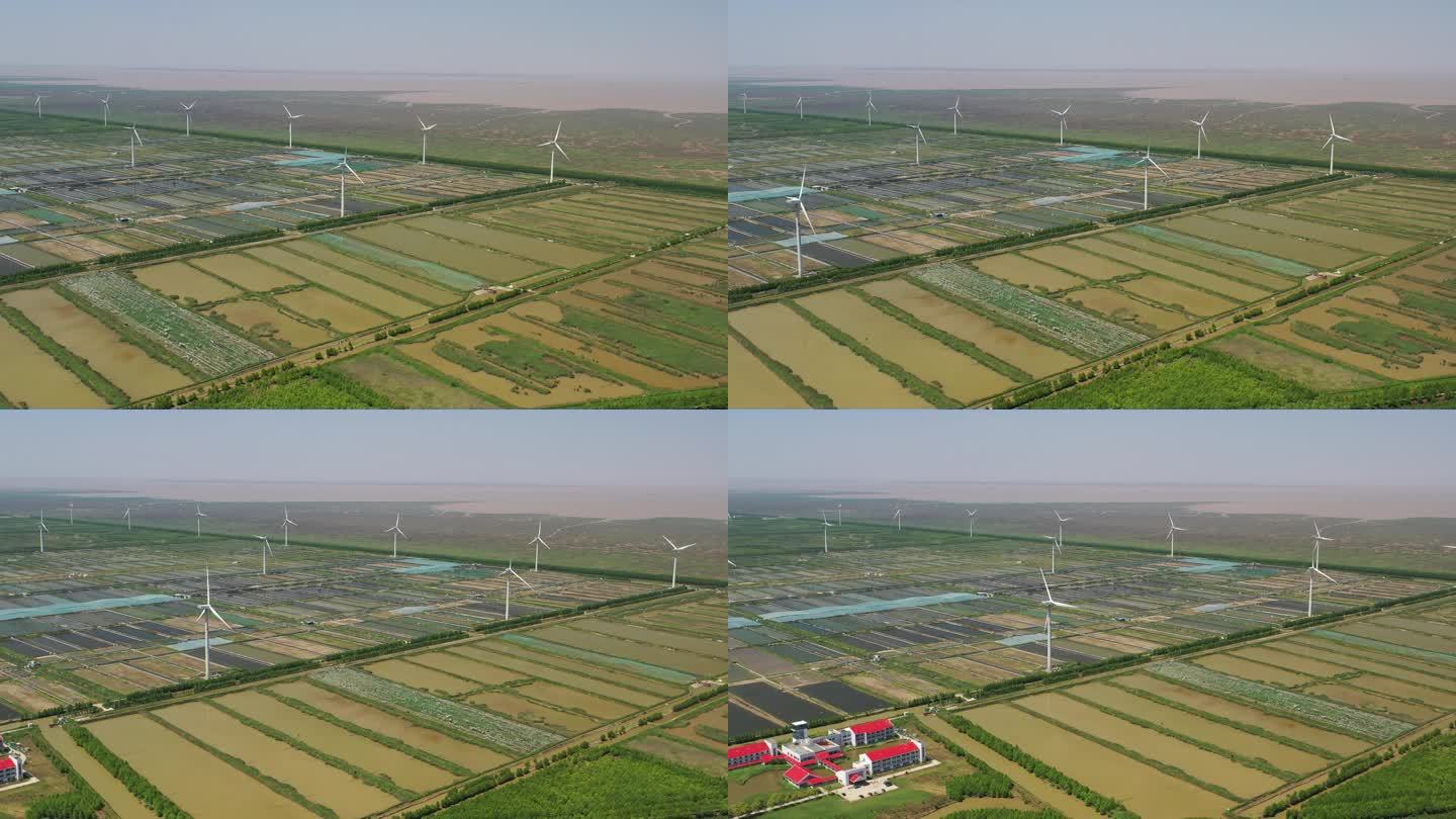 4K原素材-航拍上海东海围海造田后的农田