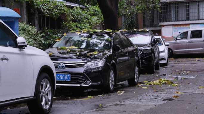 雨后小区