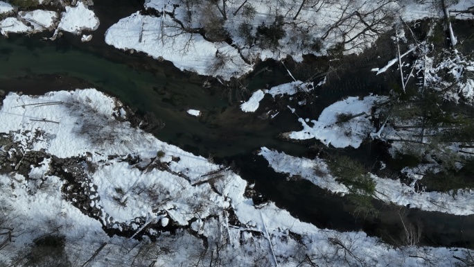 吉林长白山二道白河溪流水源地自然风光
