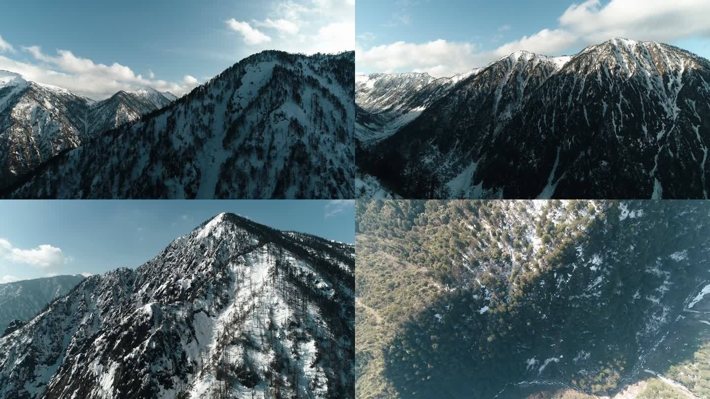 雪山高黎贡山h265 422 10bit