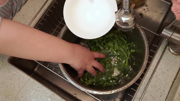 处理婆婆丁野菜清洗 (1)