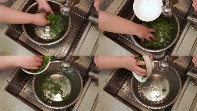 处理婆婆丁野菜清洗 (1)