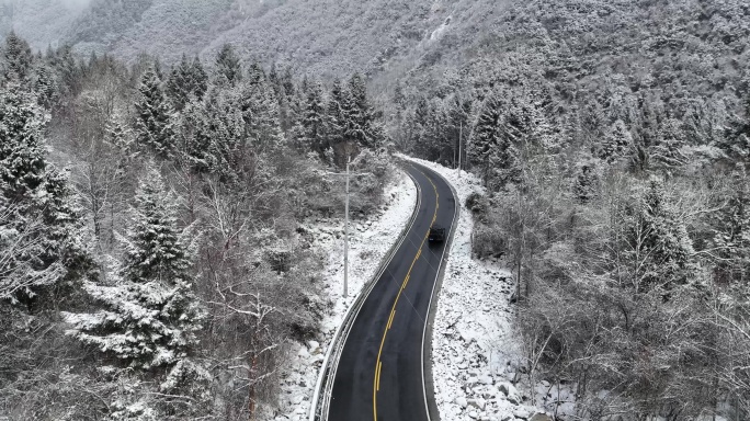 航拍雪地森林跟车4k素材