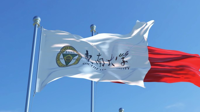 东南大学旗帜