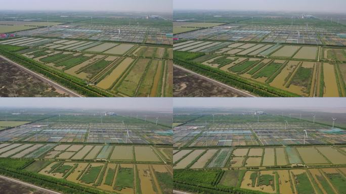 4K原素材-航拍上海东海围海造田后的农田