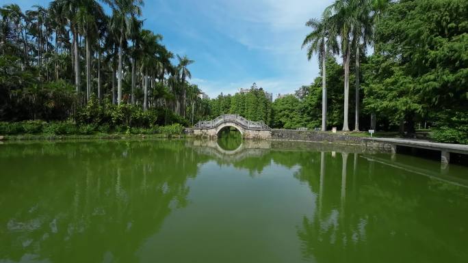广州华南植物园穿越机fpv无人机航拍4K