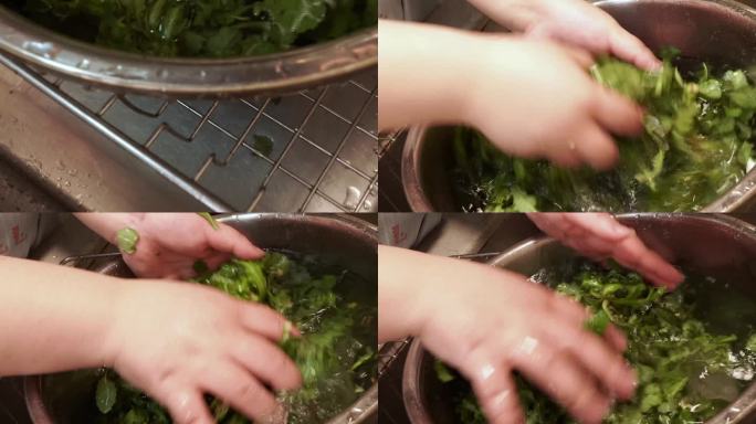 处理马齿苋野菜清洗 (3)