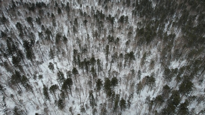 吉林长白山雪岭森林冬季自然风光航拍