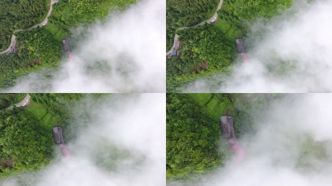 竹海云雾