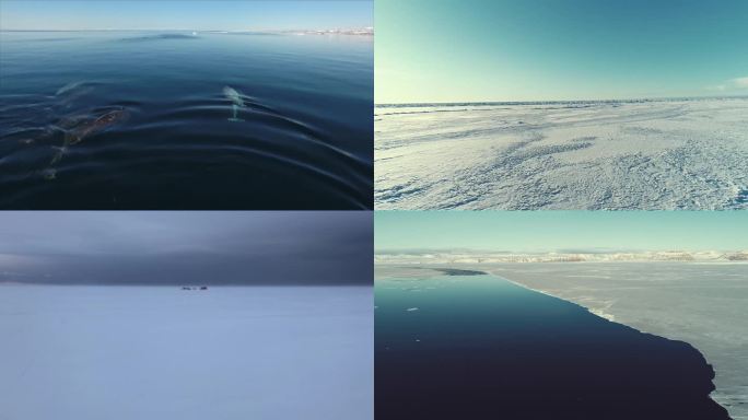 北极环境地貌合集