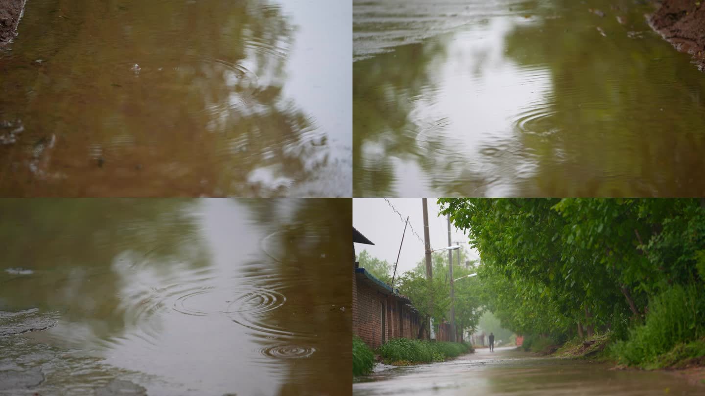 陕西关中农村下雨过后
