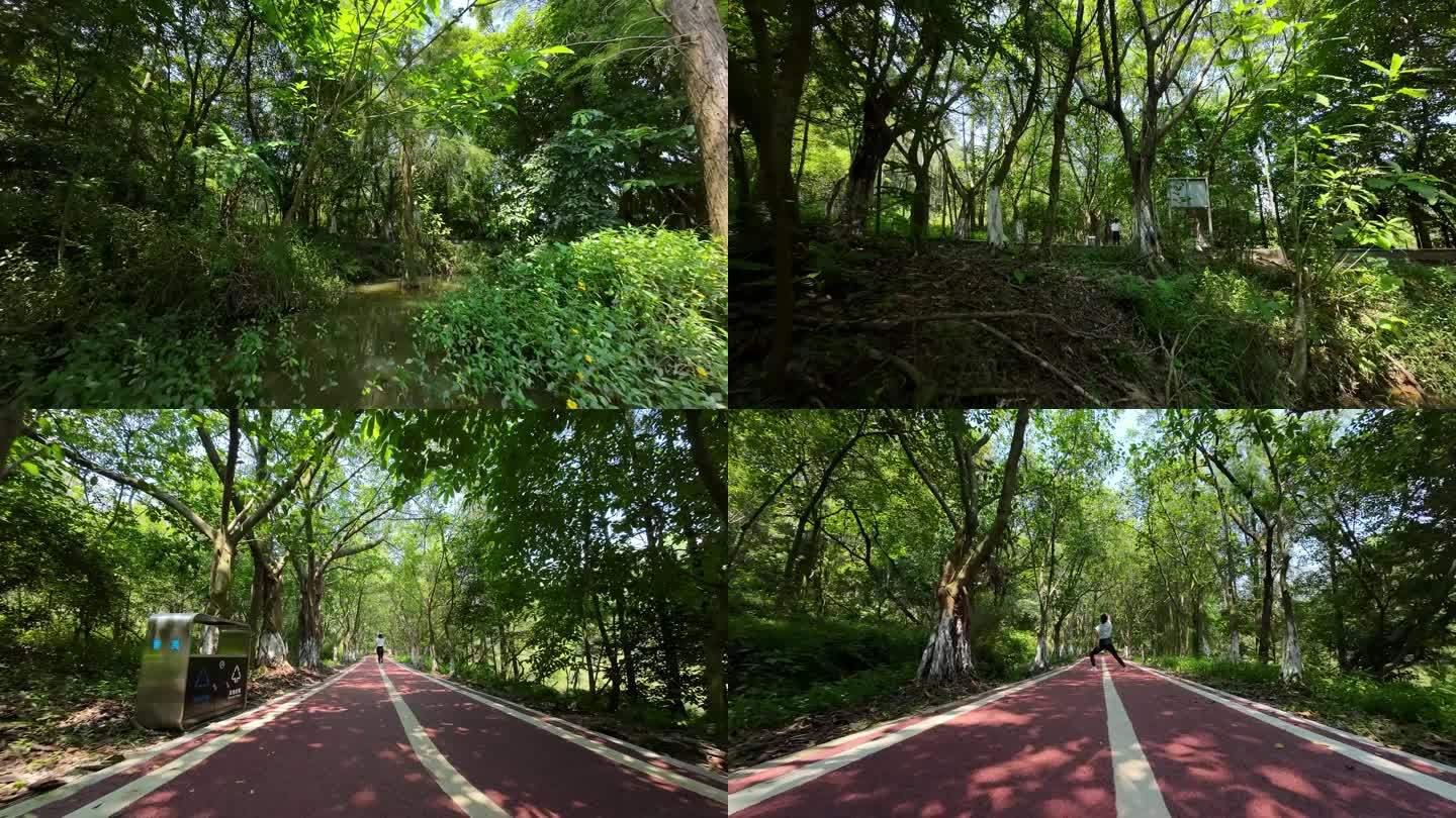 广州大夫山森林公园fpv穿越机航拍人跑步