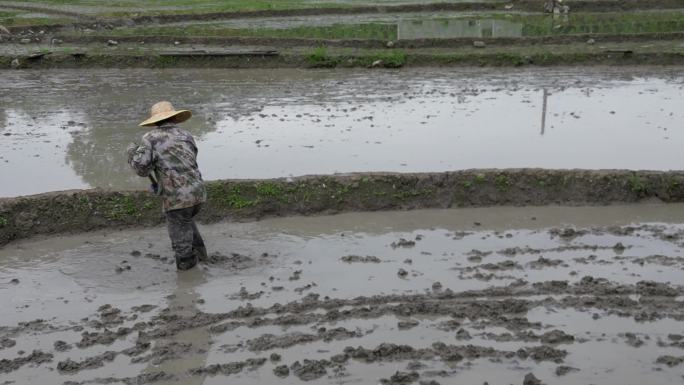 春分谷雨  田间劳作   农民背影