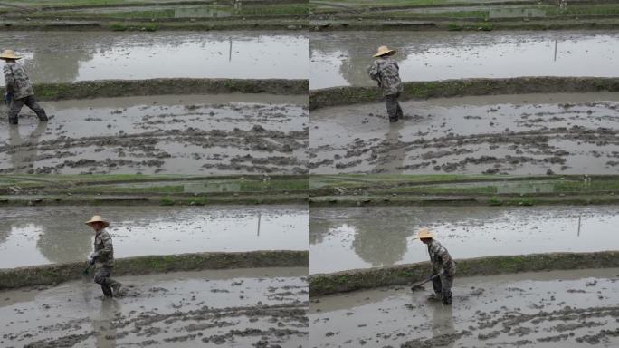 春分谷雨  田间劳作   农民背影