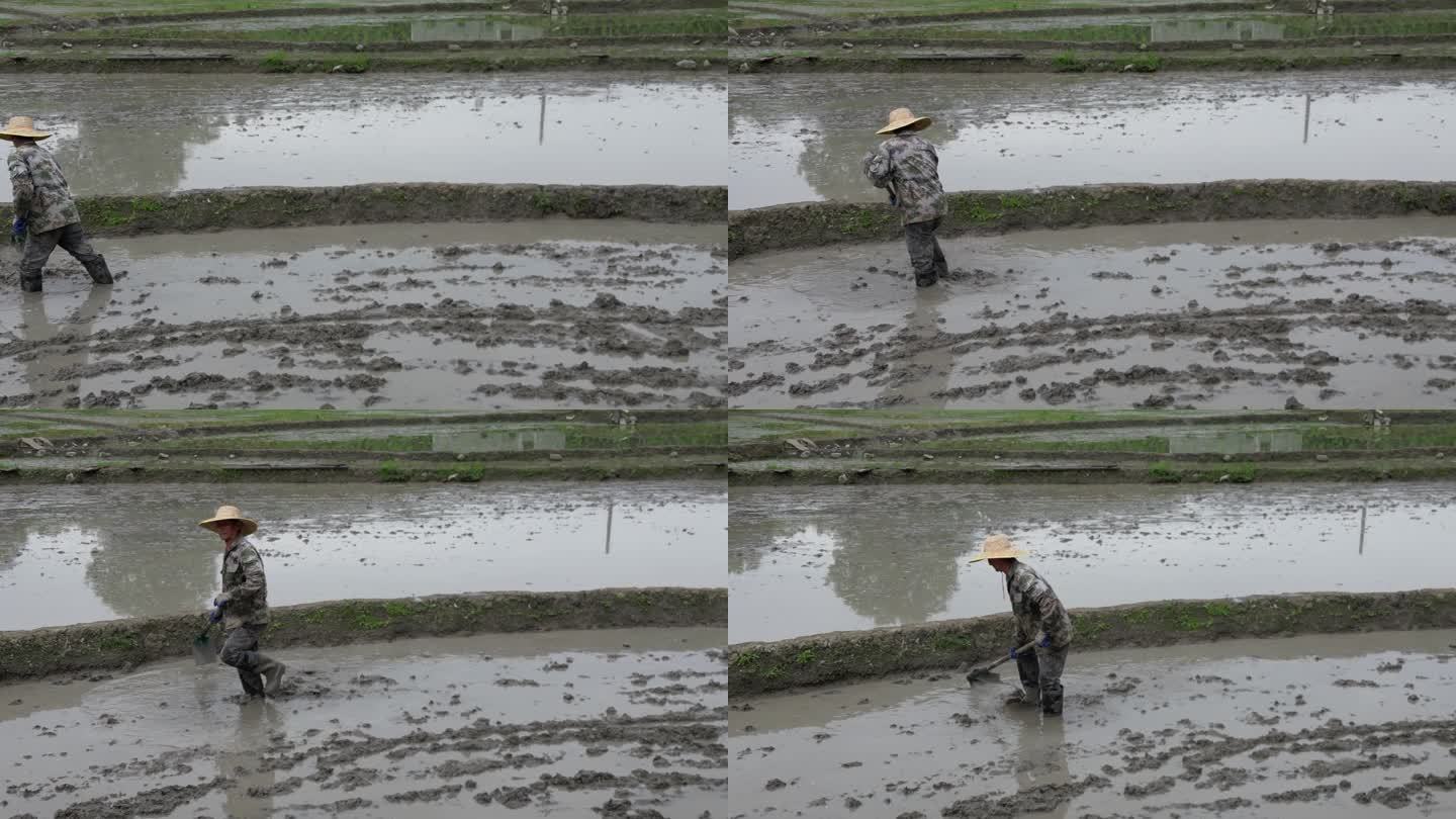 春分谷雨  田间劳作   农民背影