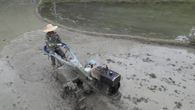 春分谷雨  田间劳作   农村风光