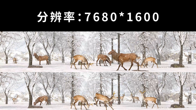 沉浸式森林雪景小鹿