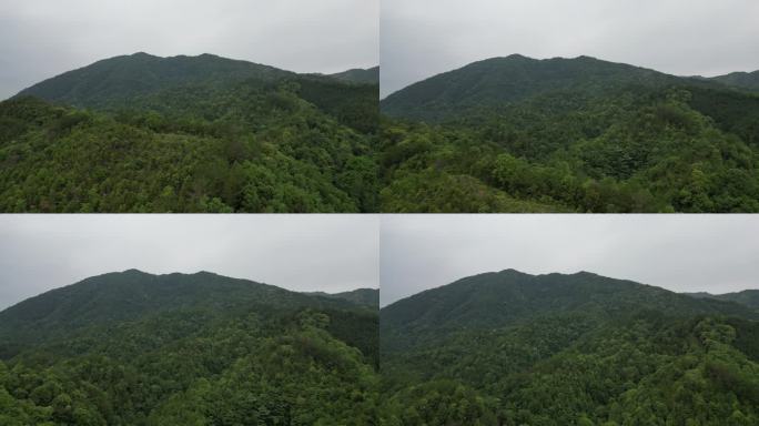 大地航拍  雨林俯瞰  绿水青山