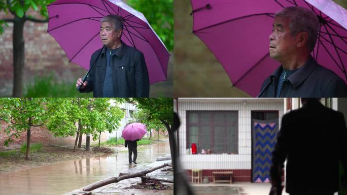 农村老人打伞行走在雨中 关中农村老人