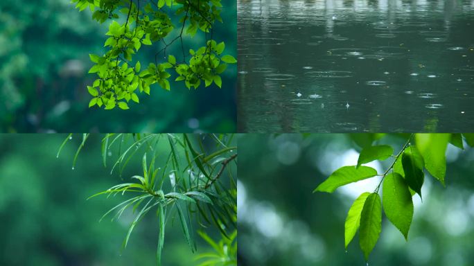 雨天意境镜头