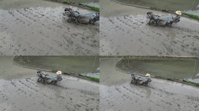 春分谷雨  田间劳作   农村风光